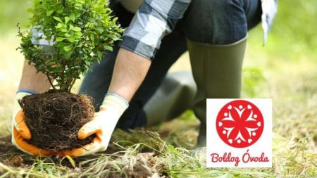 Boldogs�g �ra program- Int�zm�nyi fa�ltet�s